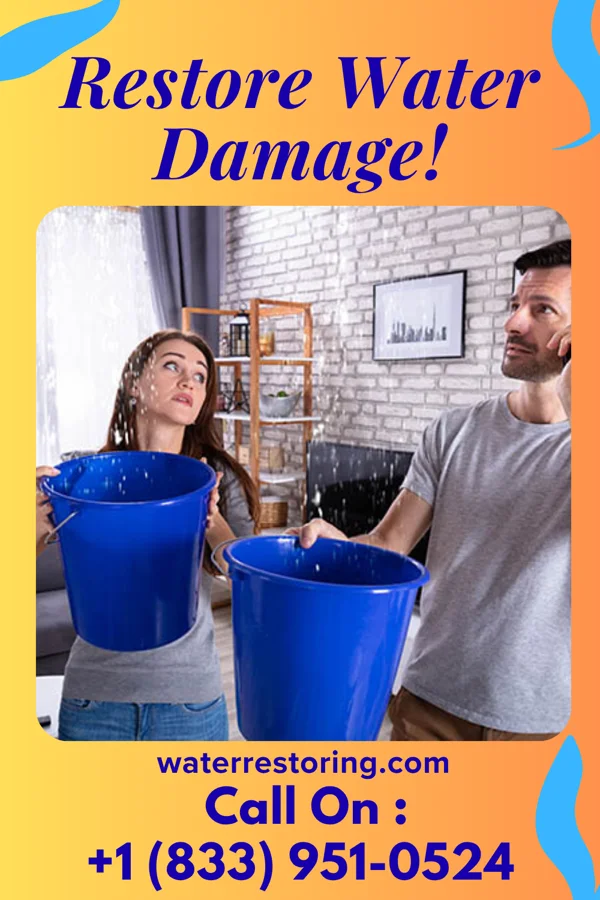 water restoration Coastal Disaster Recovery LLC West Wendover