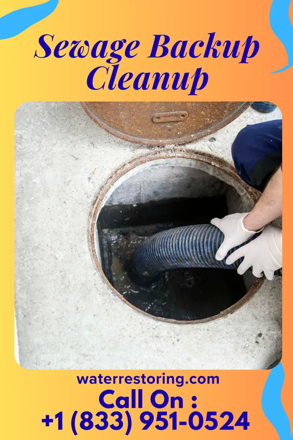 Sewage Backup Cleanup in West Wendover, NV